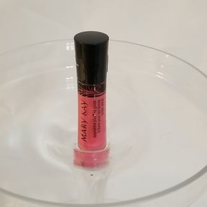 Mary Kay Nourishine Plus Lip Gloss (Bundle of 2!)